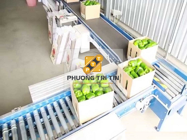 băng chuyền chế biến thực phẩm băng chuyền chế biến thực phẩm