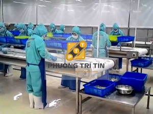 băng chuyền chế biến thực phẩm