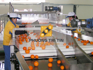 băng tải nông sản giá rẻ