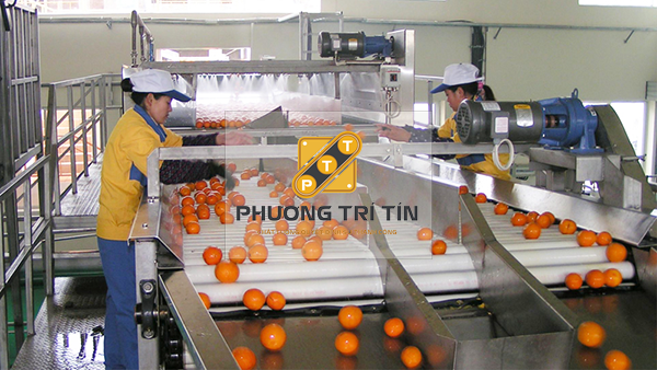 băng chuyền chế biến thực phẩm băng chuyền chế biến thực phẩm