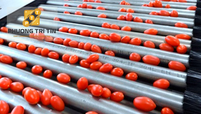 băng tải nông sản giá rẻ