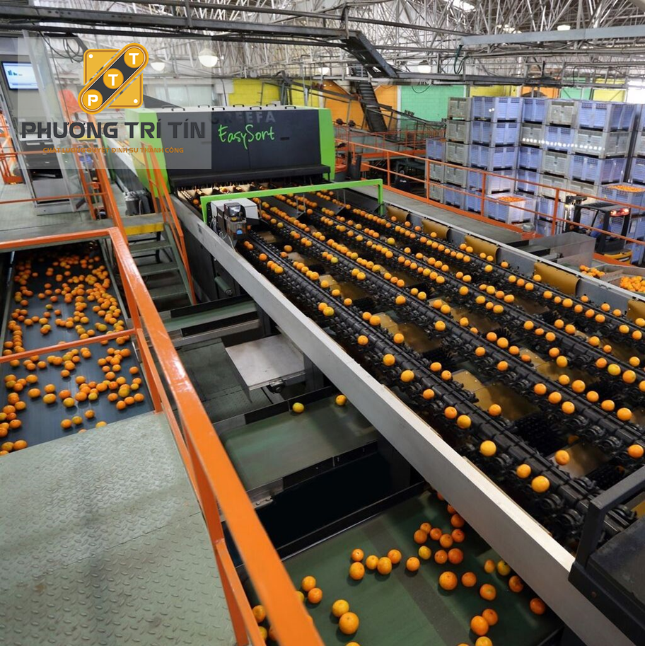 băng tải nông sản giá rẻ