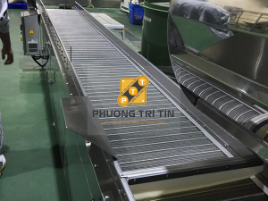 hệ thống băng tải lưới