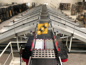 hệ thống băng tải phân loại