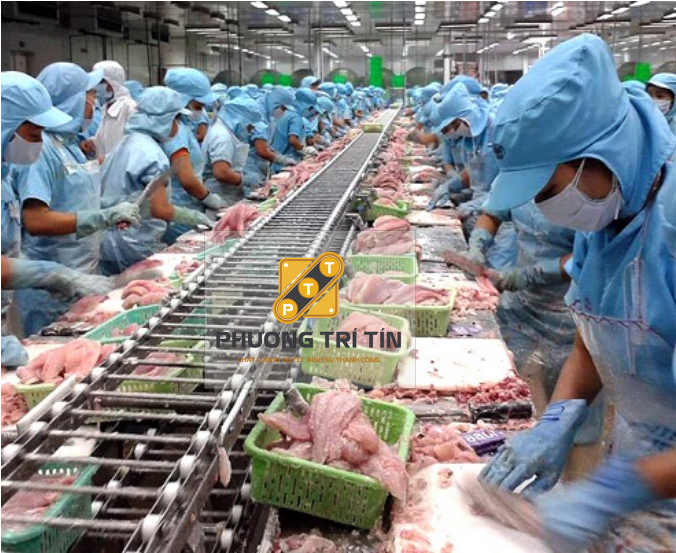 băng tải chế biến thủy sản