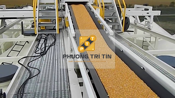 băng tải vận chuyển nông sản