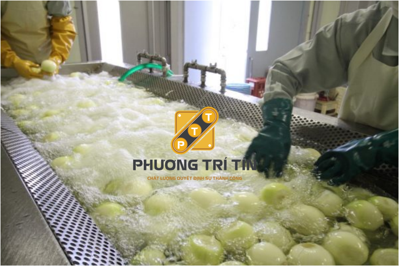 băng tải rửa nông sản