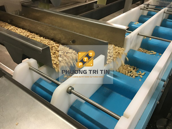 băng tải vận chuyển nông sản