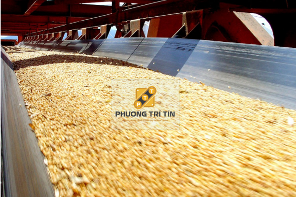 băng tải cao su chịu dầu