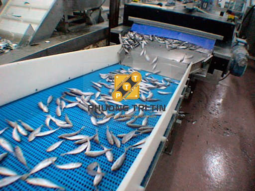 băng tải vận chuyển thực phẩm băng tải vận chuyển thực phẩm