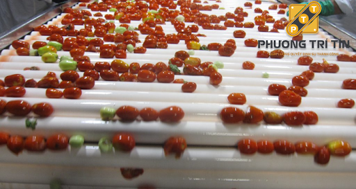 con lăn nhựa giá rẻ con lăn nhựa giá rẻ