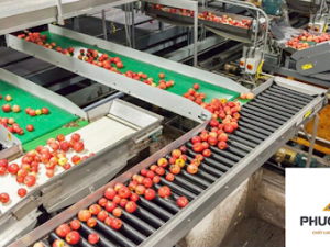 băng tải nhựa thực phẩm