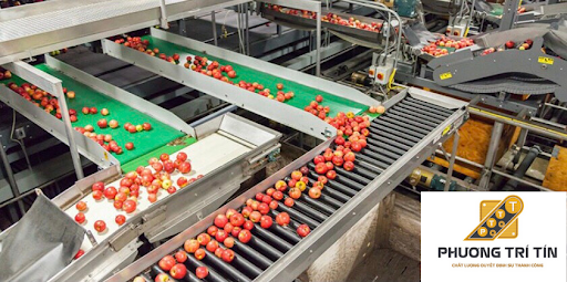 băng tải nhựa thực phẩm