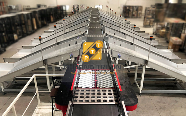 Băng tải phân loại