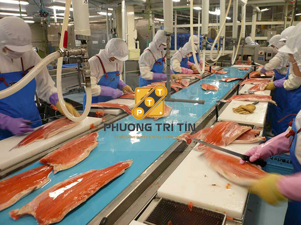 Băng tải thực phẩm