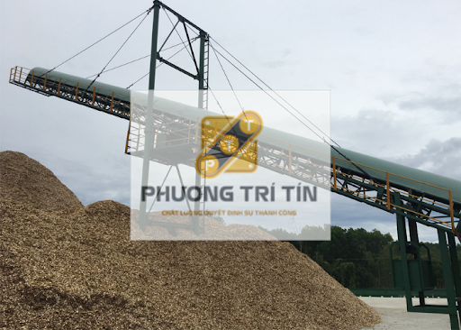 băng tải dăm gỗ