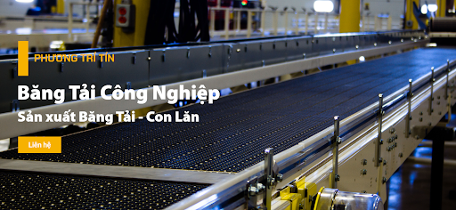 Hệ thống băng tải gạo Phương Trí Tín 