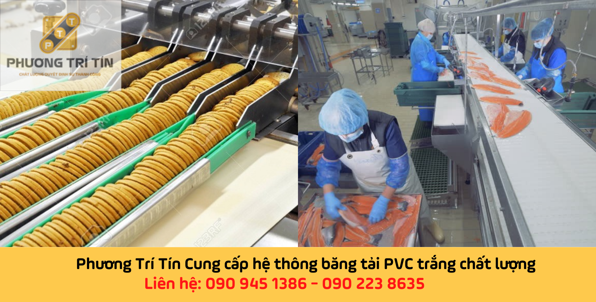 băng tải PVC trắng