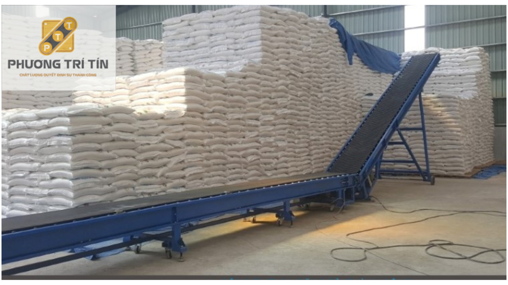 băng tải lúa gạo 