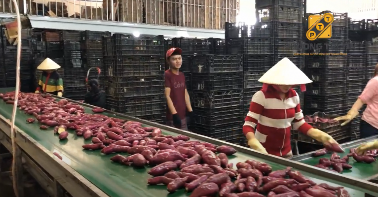 Day chuyen rua khoa tai co so Xuan Dung